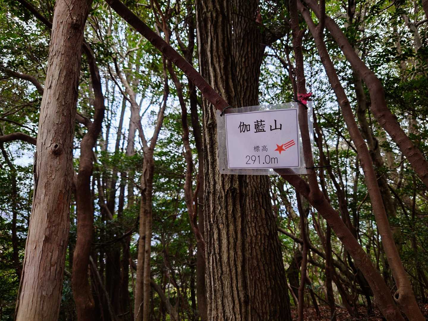 伽藍山山頂✨
眺望なし