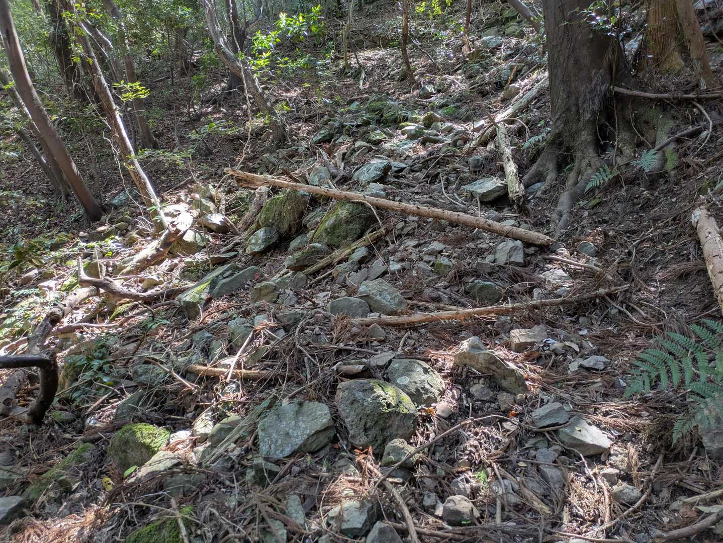 道中８割方ガレてます、しかもけっこう急なんです😂

これ降りは小田山と違う意味で危険があぶない

はっきり言って道と言う道はないけど、ピンテを頼りに進む感じ