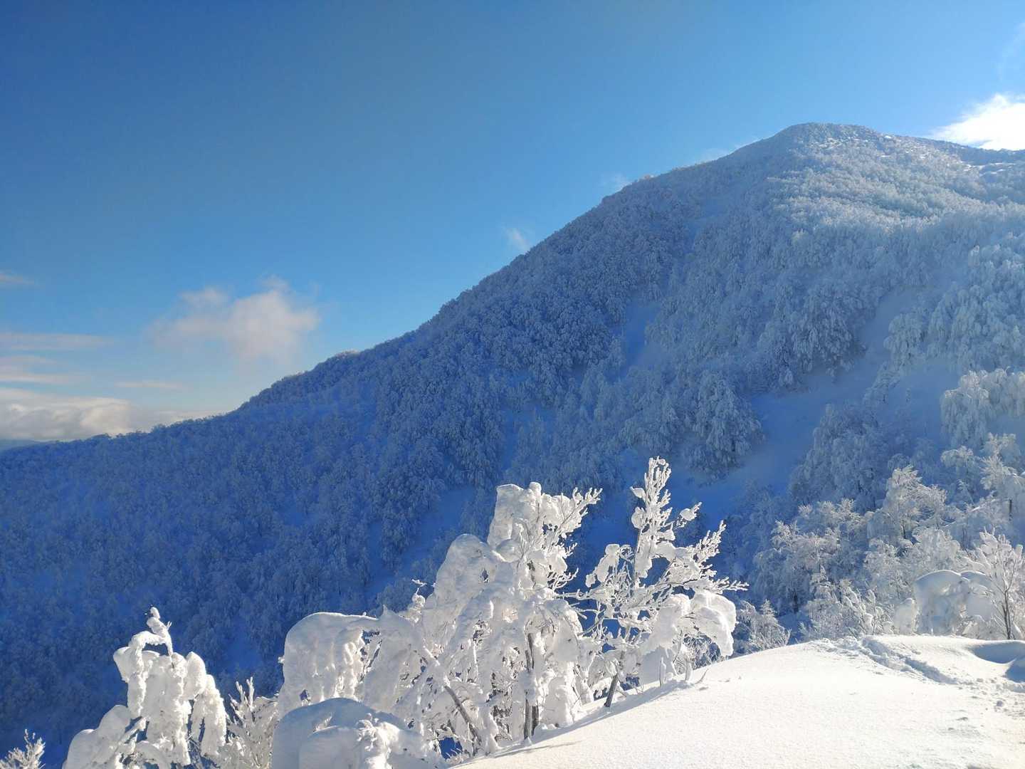 三沢山山頂からの面白山🗻
去年は、ここからの面白山がホワイトアウトで全く見えず撤退しました💦