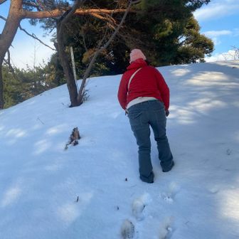 山頂までの急登💦
