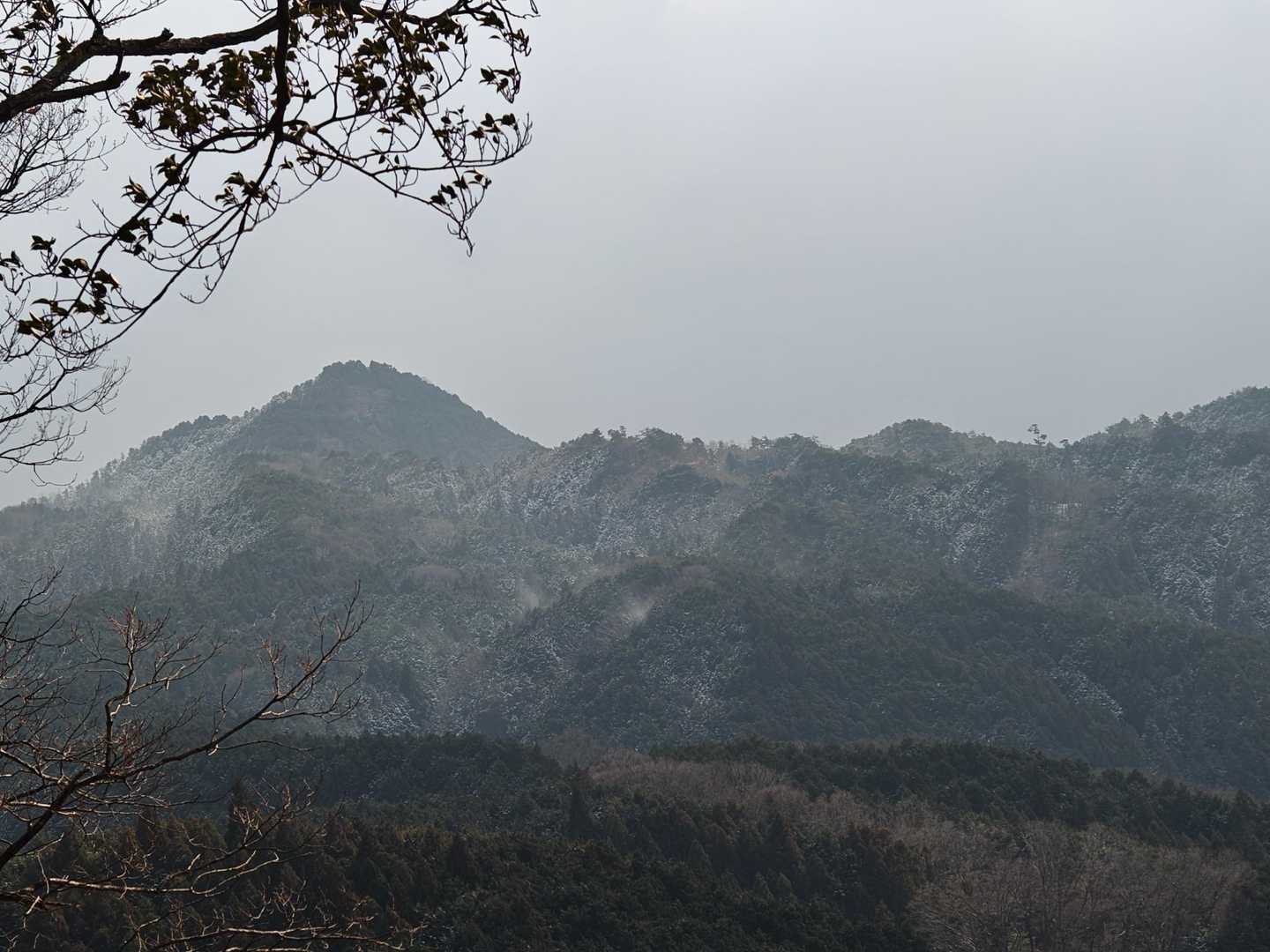 伊那佐山-井足岳 縦走コースの写真