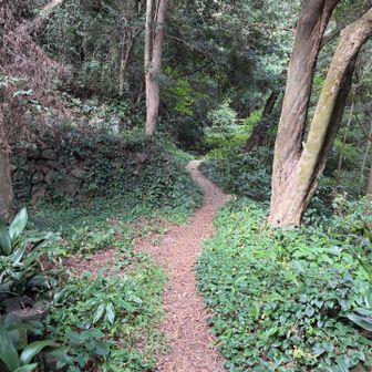 霊山寺の裏から帆掛山へ