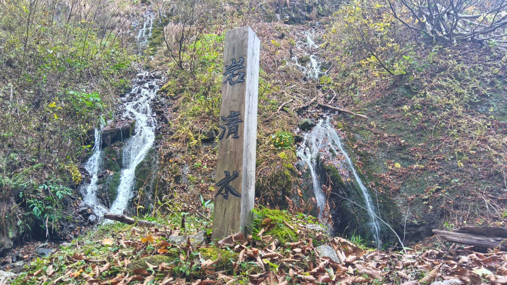 滝：その２「岩清水」