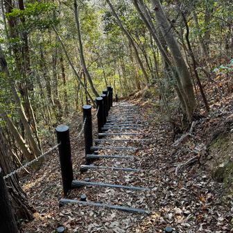 落葉に気を付けつつ、階段をおります。