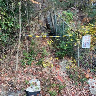 降りてきて振り返ると🙄(登ってないから大丈夫か)