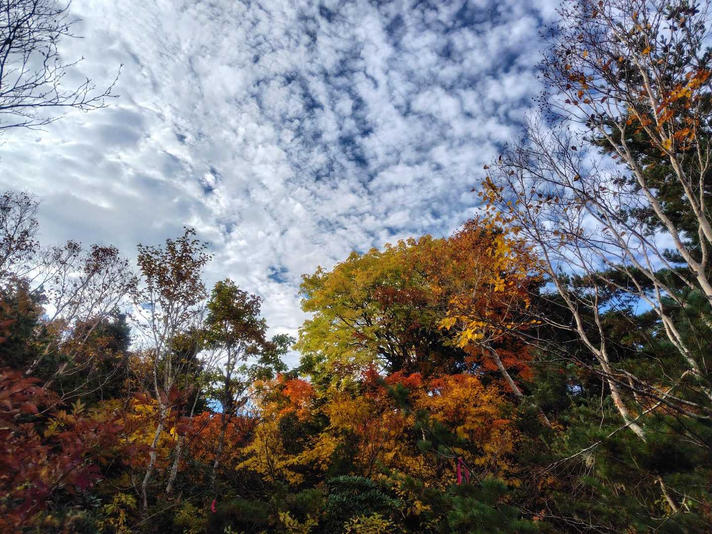 秋の空ですね👀✨