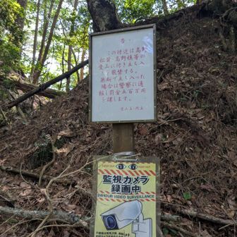 松茸泥棒対策