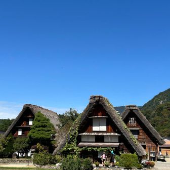 💙✨“白川郷合掌造り集落”三兄弟⁈✨💙