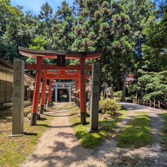 大根地神社
山頂の少し下にある