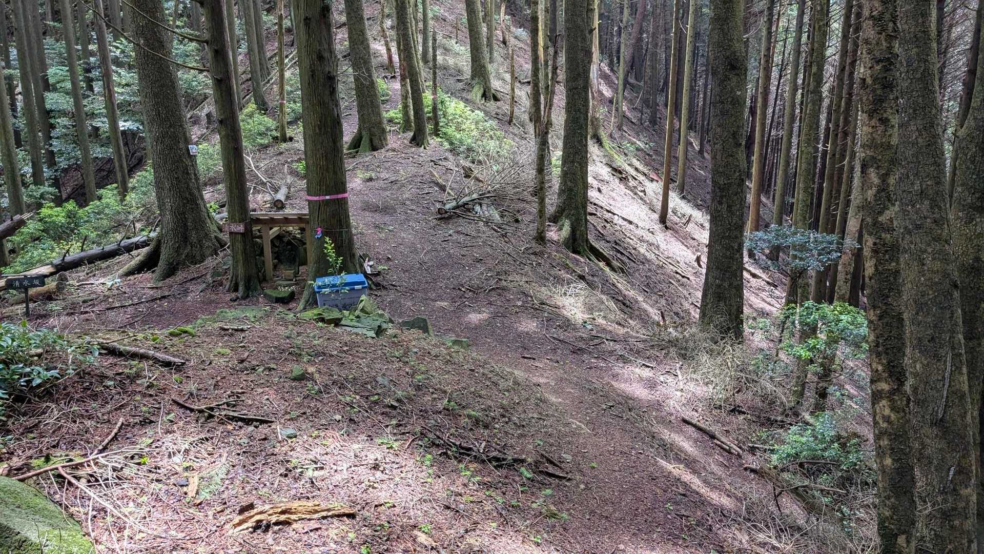 ピストンして清水坂迄🎵

ここから下山💨
