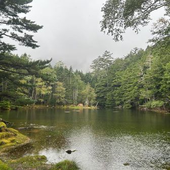 雨のみどり池