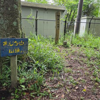 着いた（笑）