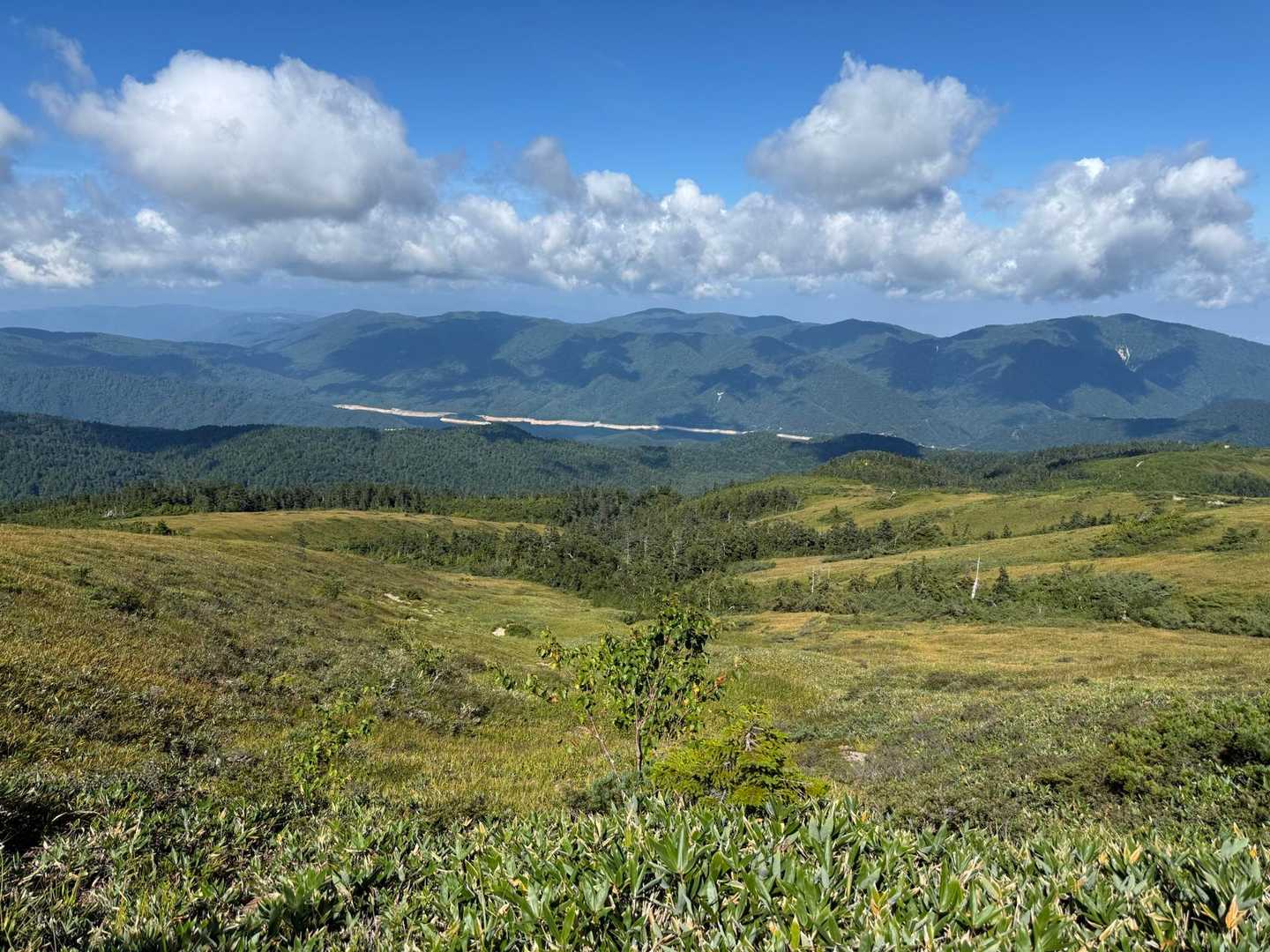 アラスカ庭園-五光岩ベンチ-薬師岳登山口 縦走コースの写真