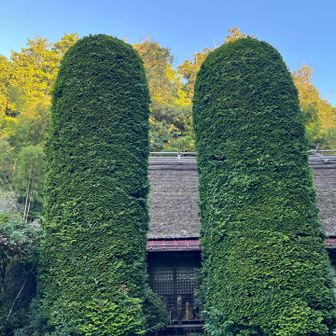 竹寺