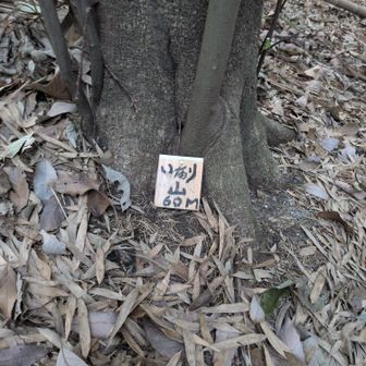 いなり山山頂。
小さなプレートが竹の落ち葉に埋もれかけてました。