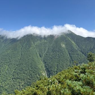 ついにチロロ林道側の稜線を捉えました😲