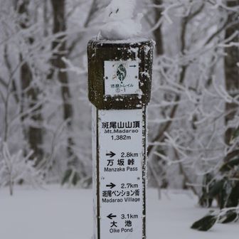 斑尾山山頂の標識。なんか地味ですね。一応日本三百名山にも名を連ねる山なのですが。
