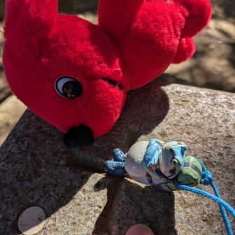 チーバくんに襲われかけている無事カエル😄