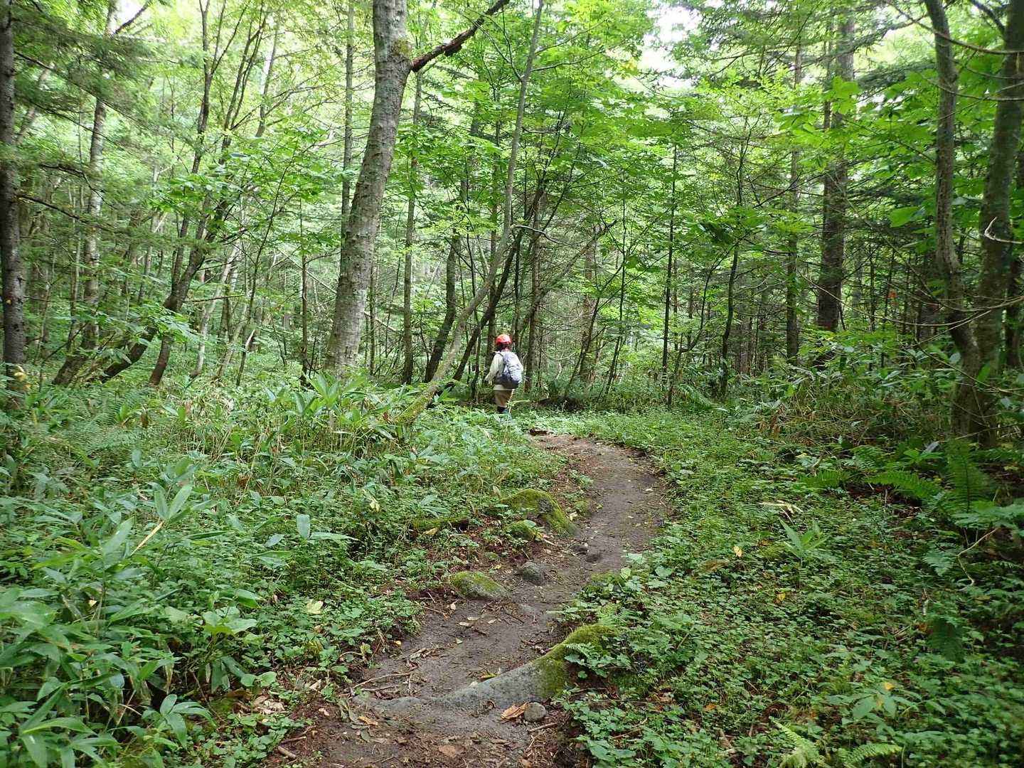 登山口までの下りは、数字以上に長く感じました💦