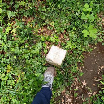 七国山②

点名: 七国峠
標高: 223.19 m
種別: 三等三角点

前々回の山行から洗ってないので汚れがヒドい（恥）
