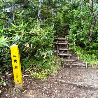 三角点 標高2,208.5m⛰️