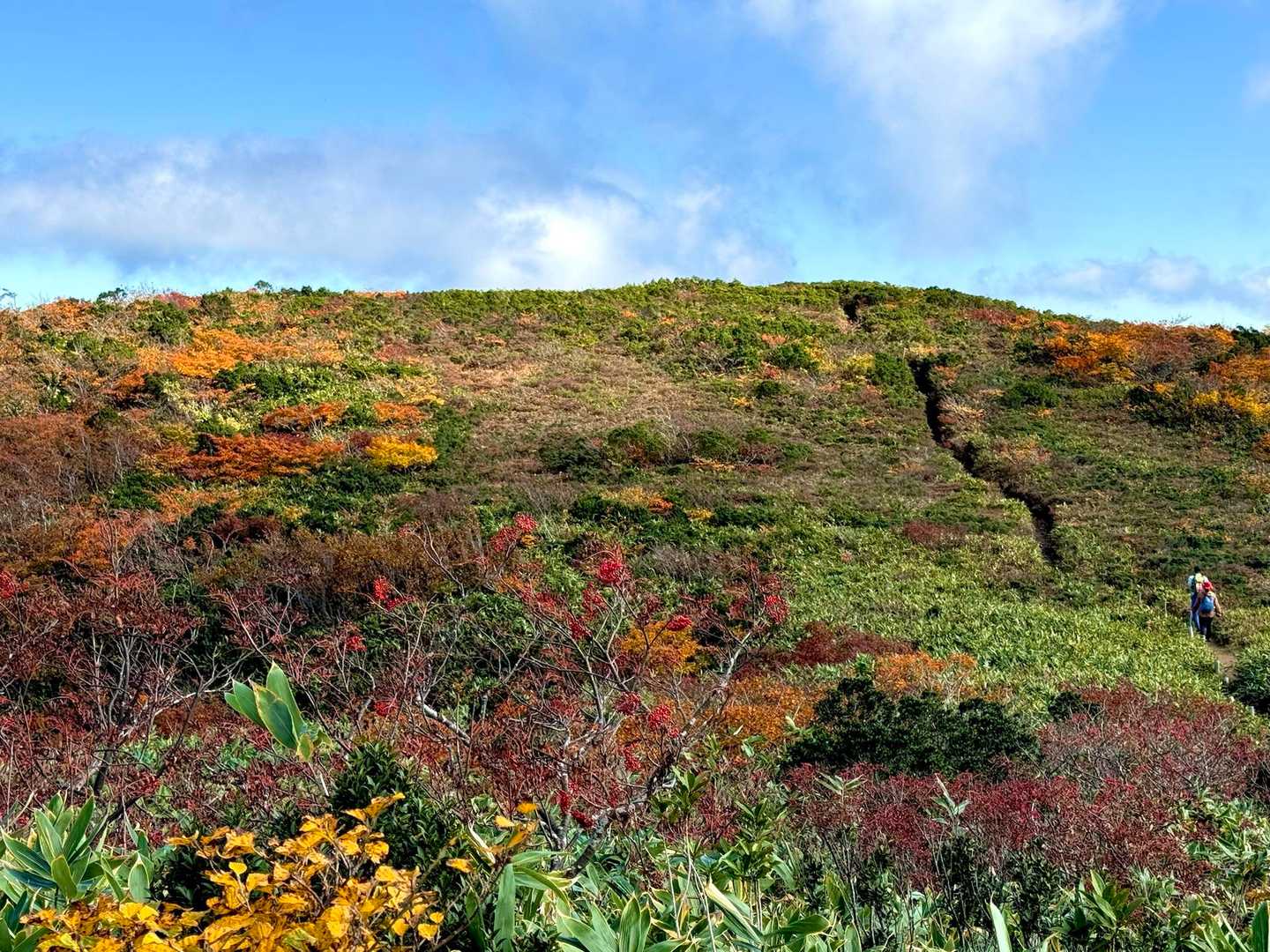 赤兎山登山口-小原峠-苅安山-奥大長谷の頭-大長山-赤兎山 周回コースの写真