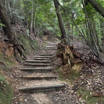 神社の裏手から道が続いています