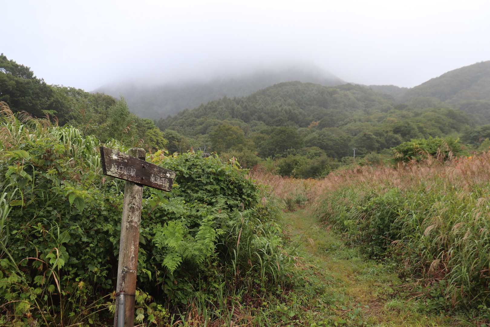 南面白山 往復コースの写真
