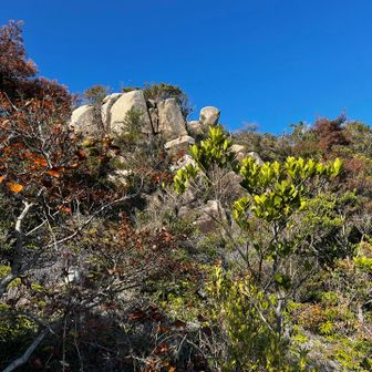 先程の展望岩を振り返って