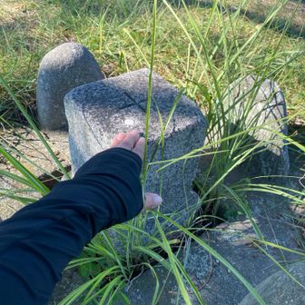 三角点あった