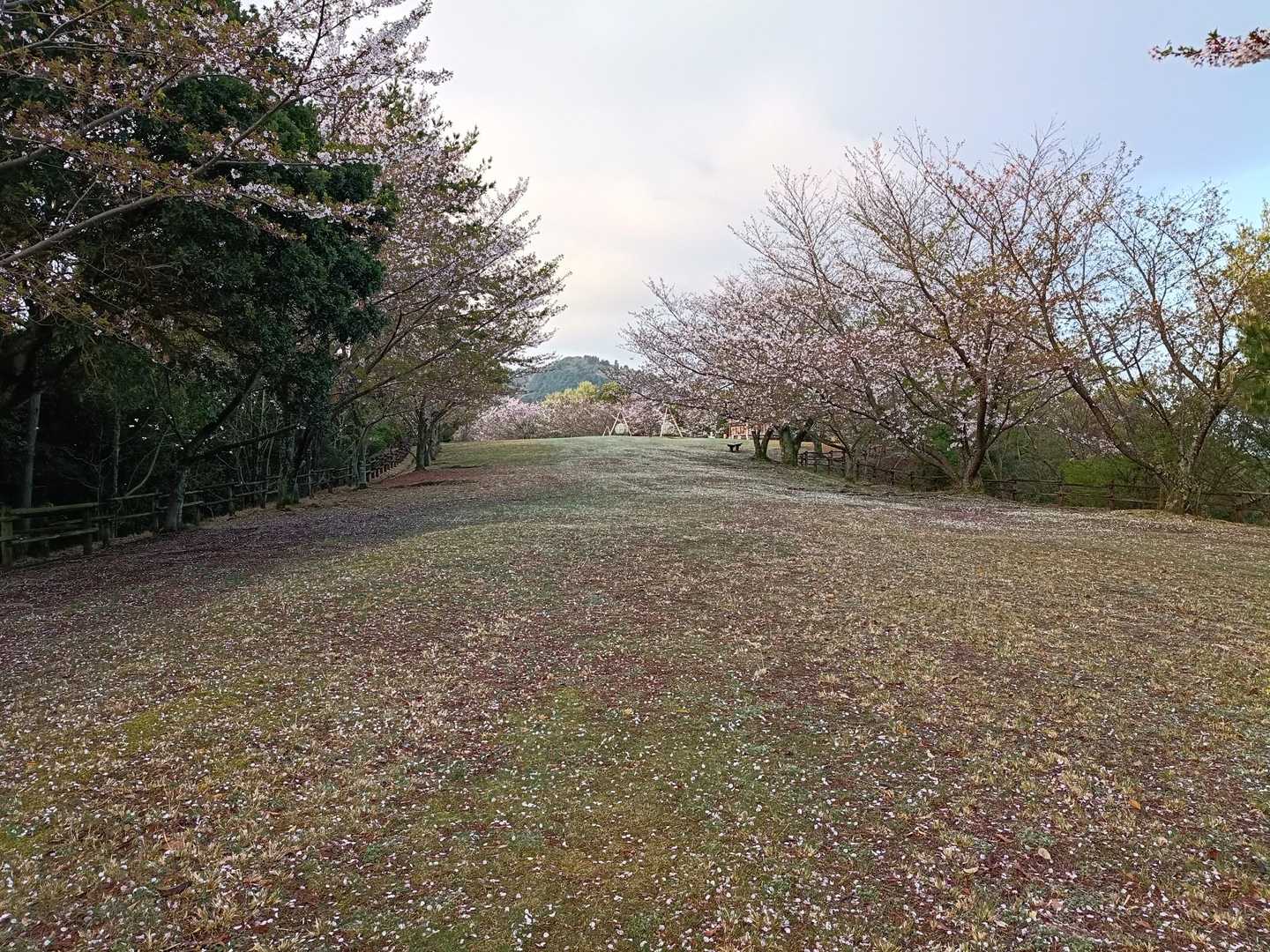 谷上山登り口-歯朶谷山 周回コースの写真