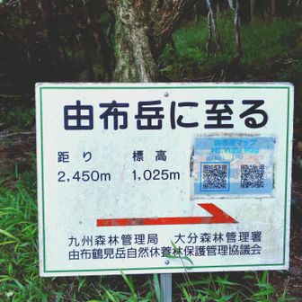 きゅうりぱん