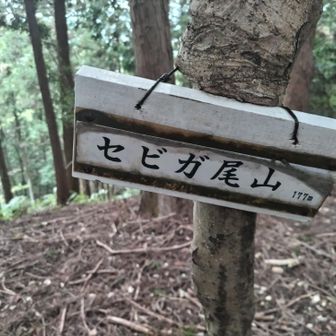 セビガ尾山