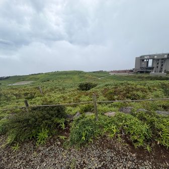 ガスる前にテキトーに撮った山頂付近。