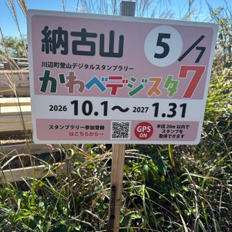 川辺デジスタ⛰️