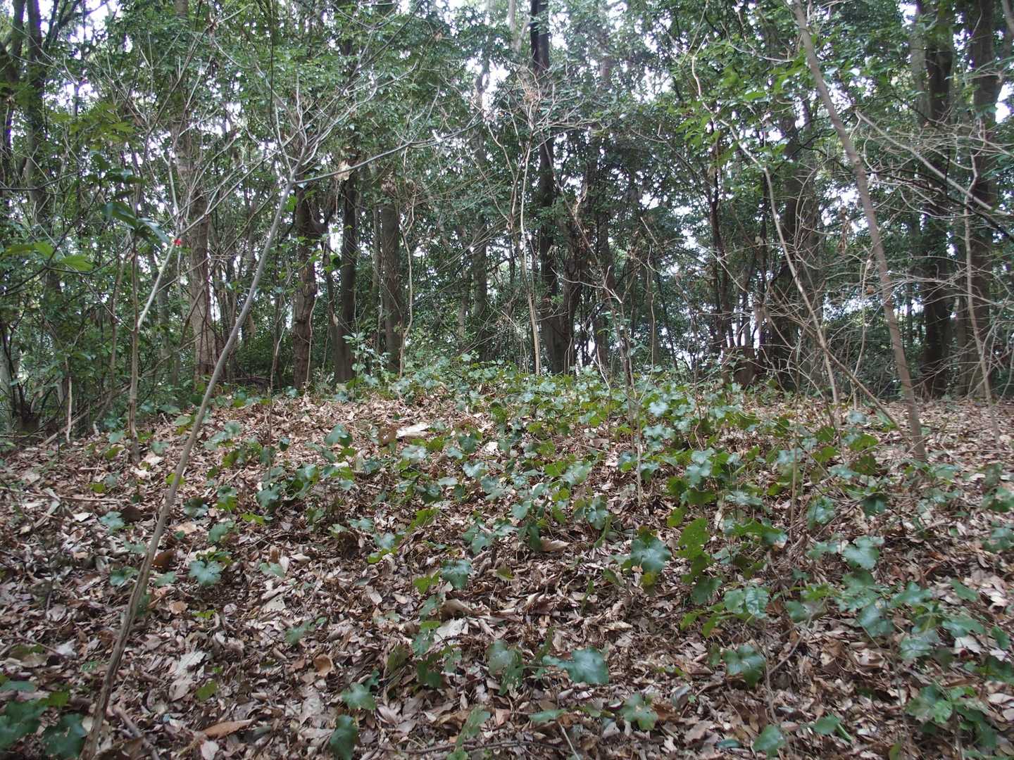 所熊山
見晴らしはありません