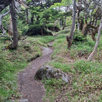 日の出岩に向かう