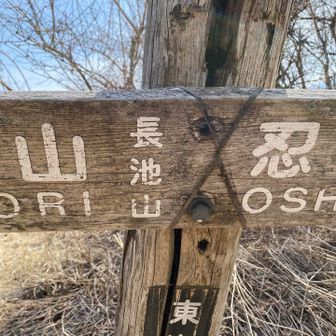 長池山⛰️てっぺん！