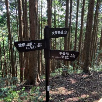 ここからだらだらです。
