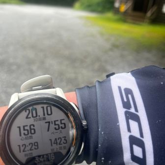 げざーん

こっからまた13kmロードです