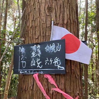 10座目（ピークに上がってない）