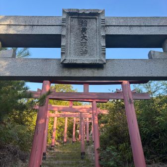 どんどん登ります
