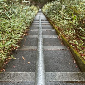 か、い、だ、ん
下りだから良かったけどこれ登りの人大変では？
これが✖️3セットです(^ ^)