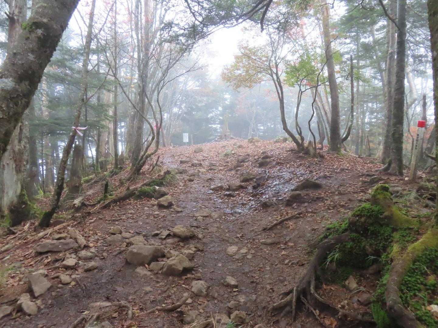 強風ガスガスなので山頂は滞在時間5分でした