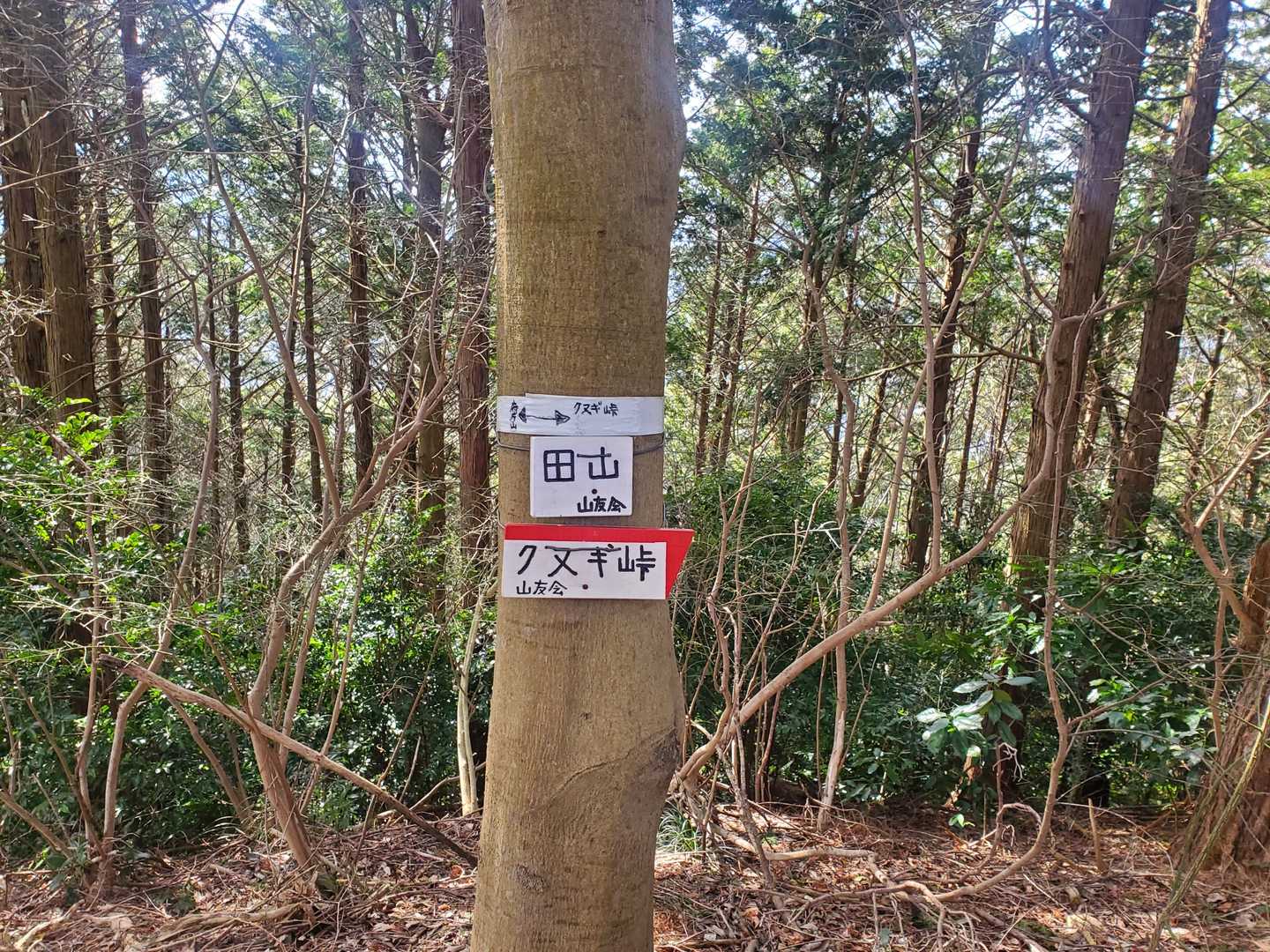 田山山頂！