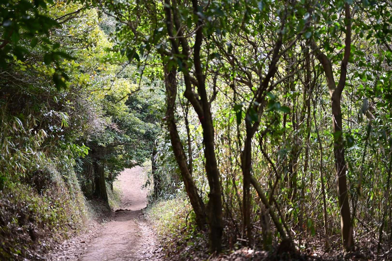 笛吹峠-源明峠-源明山-嘉納山-文珠山-文珠山登山口 縦走コースの写真