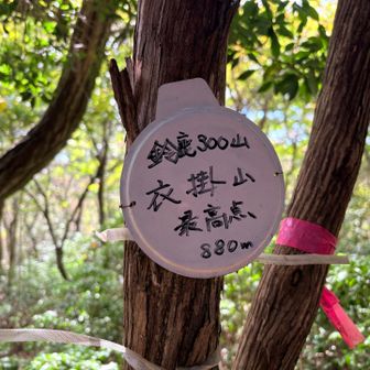 おっ！鈴鹿300山の山頂標識だ🤩

このなにかの蓋みたいな山頂標識が好きです
