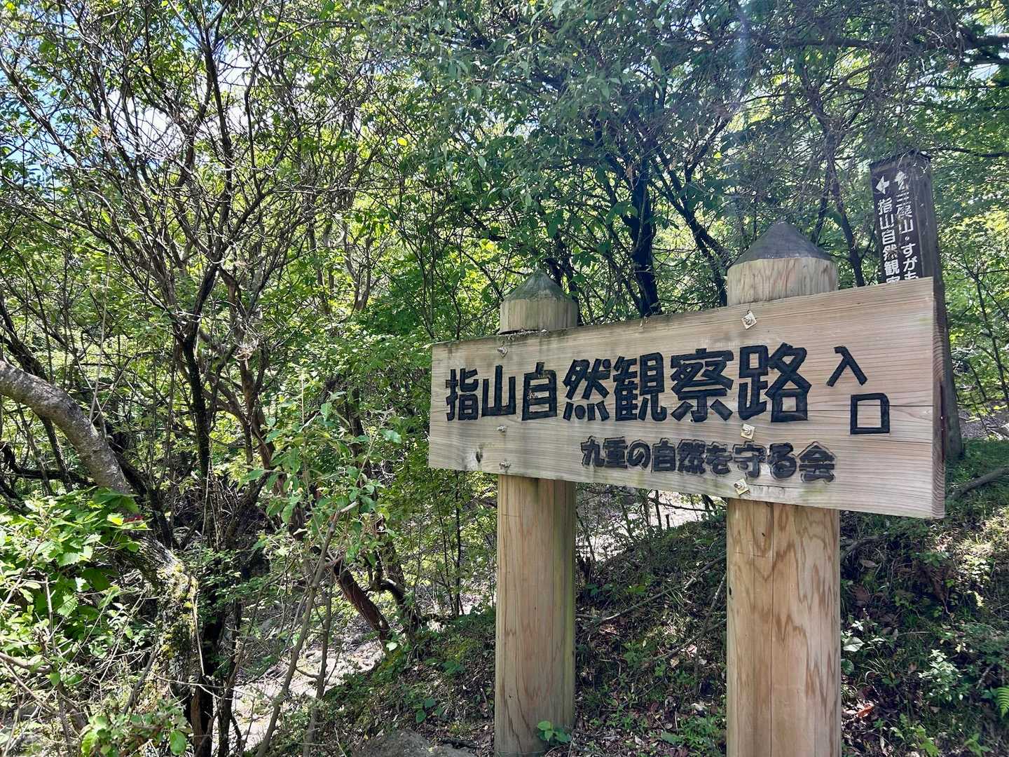 諦めていたけど
ここスタートだと
時間内でも
指山に登れると発覚((´∀｀*))ﾜ-ｲ