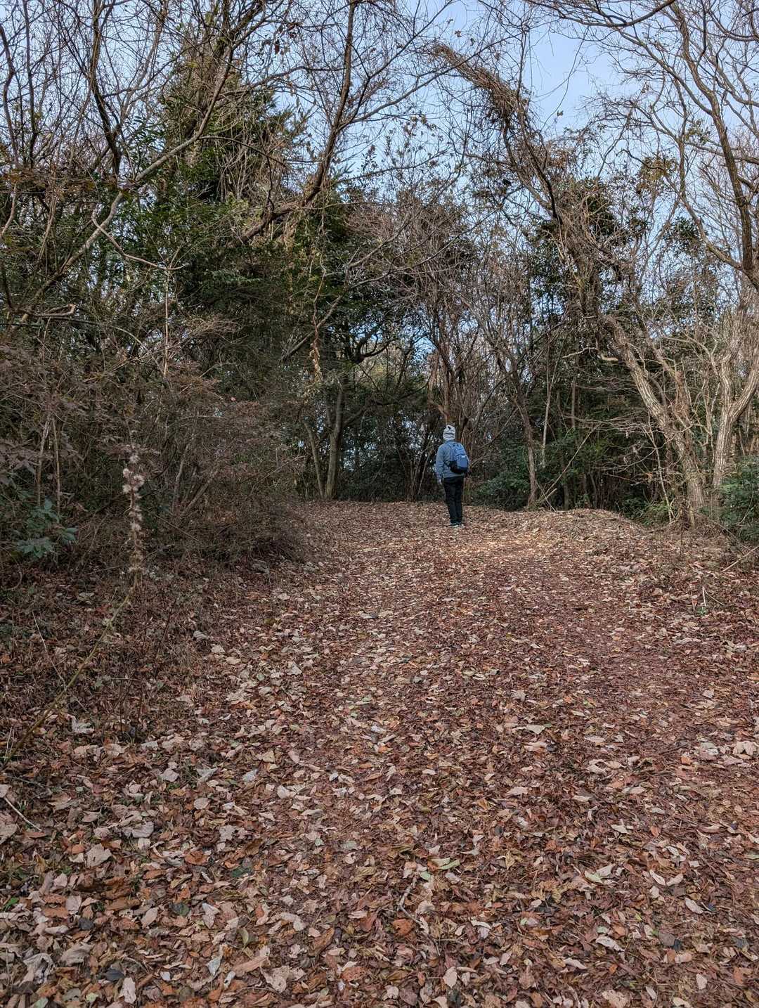 大山寺-大山 往復コースの写真