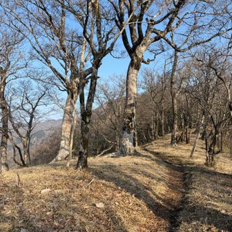 丹沢らしい景色